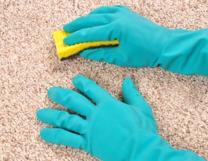 Brooklyn, NY Carpet Cleaning - Benefits Of Hiring A Carpet Cleaning Professional